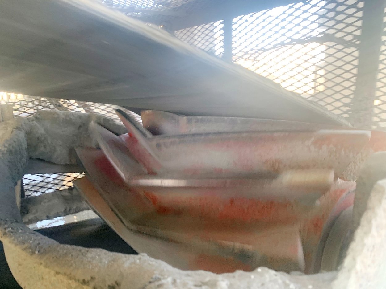 capless Chevron® Wing Pulley on conveyor